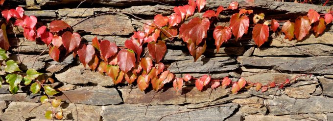 Kamień murowy płytowy