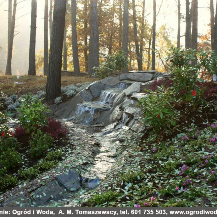 image-1972